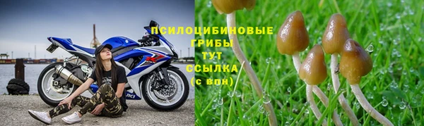 крисы Алексин